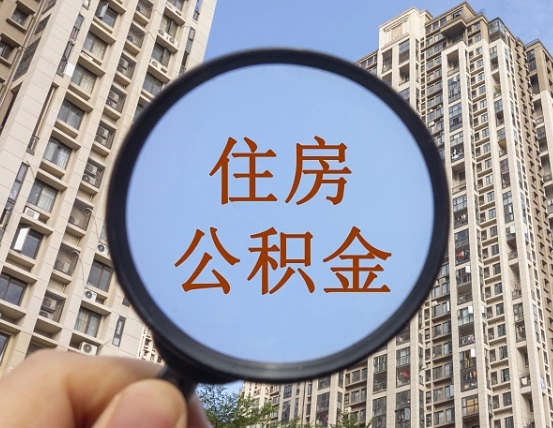 射阳退休后查不到公积金明细了吗（退休后公积金查询不到原因）